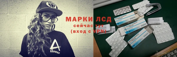 гидропоника Гусев