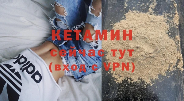 трава Гусиноозёрск