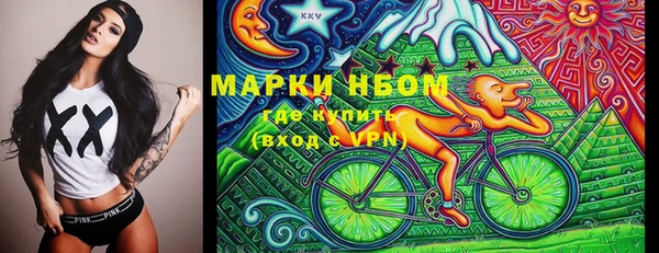 трава Гусиноозёрск