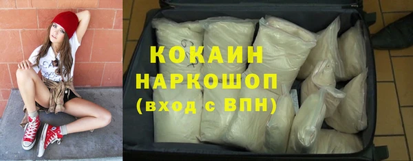 гидропоника Гусев