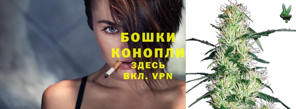 трава Гусиноозёрск