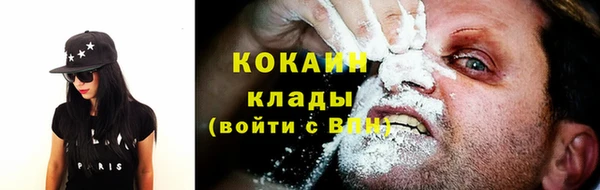 гидропоника Гусев