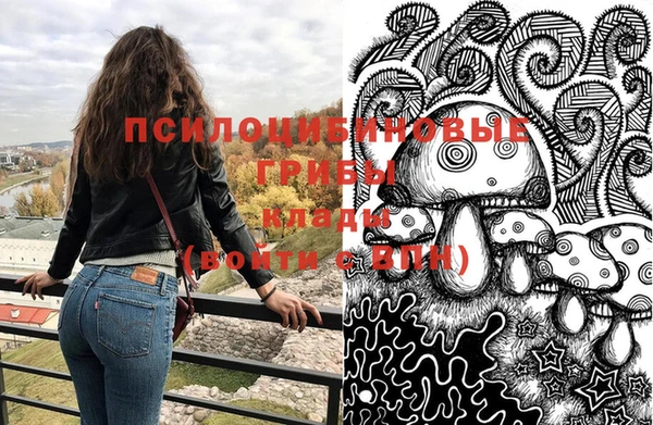 трава Гусиноозёрск