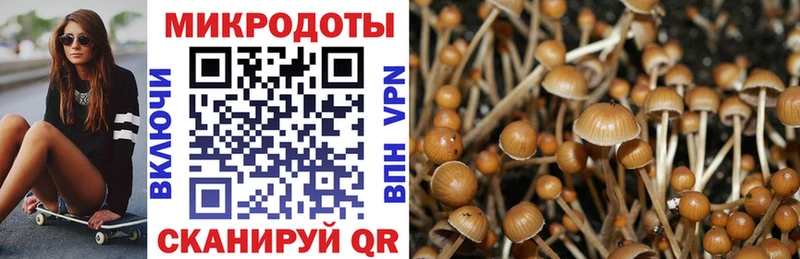 Купить закладки  Кашира  Псилоцибиновые грибы Magic Shrooms 